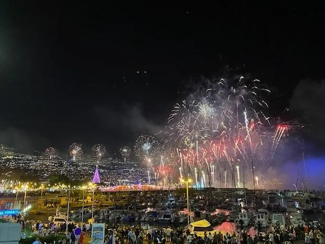 Ocean View Oasis With Parking *